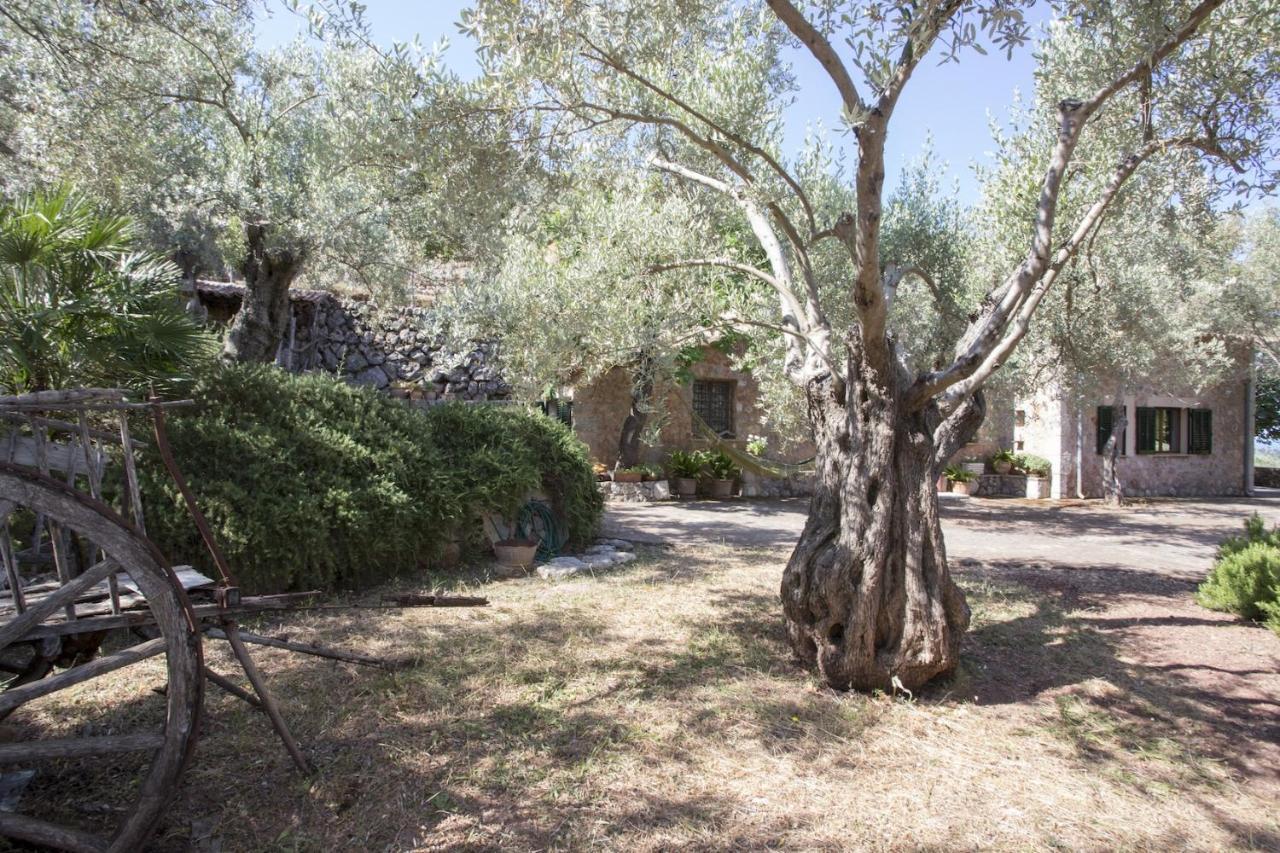 Villa Es Coco, Soller Puerto de Sóller Exterior foto