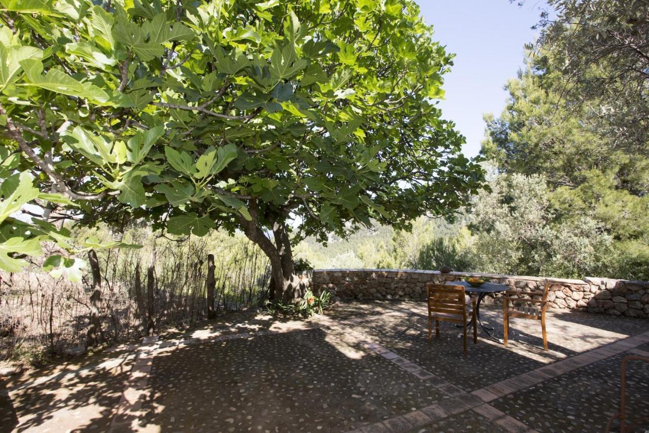 Villa Es Coco, Soller Puerto de Sóller Exterior foto
