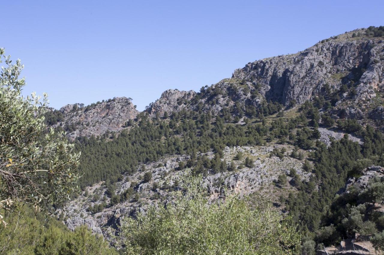 Villa Es Coco, Soller Puerto de Sóller Exterior foto